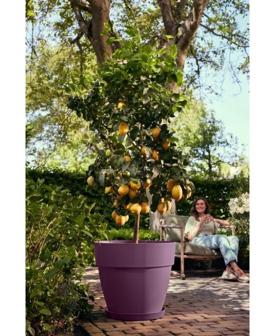 MACETA VIBIA CAMPANA 35 MORADO