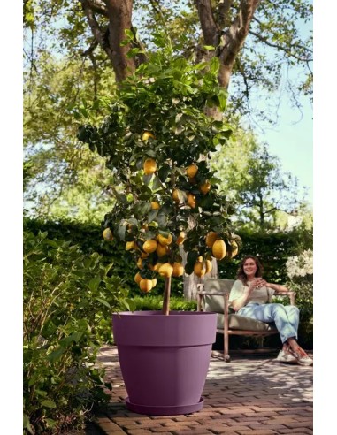 MACETA VIBIA CAMPANA 35 MORADO