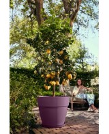 MACETA VIBIA CAMPANA 35 MORADO