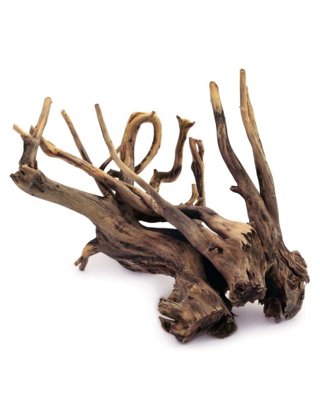 RAICES BLACK RIVER 35-50CM