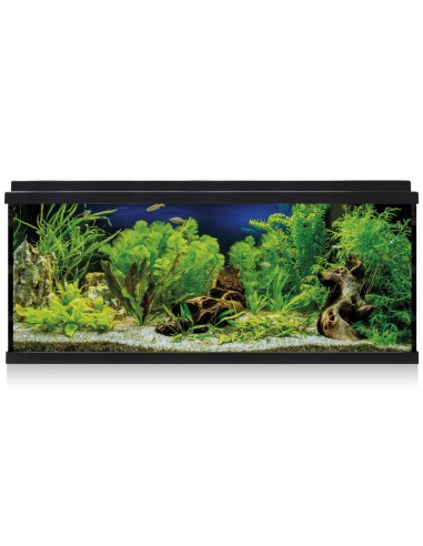 KIT INTERIOR AQUALED 100 NEGRO