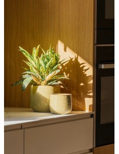 MACETA GUINEA 24X21 BLANCO 2