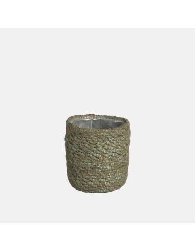 GAMO CACTUS 9X 8CM VERDE