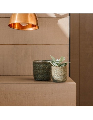 GAMO CACTUS 9X 8CM VERDE