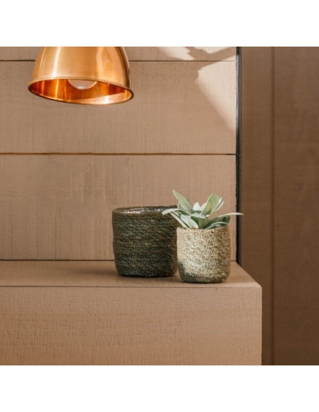 GAMO CACTUS 7X6CM VERDE