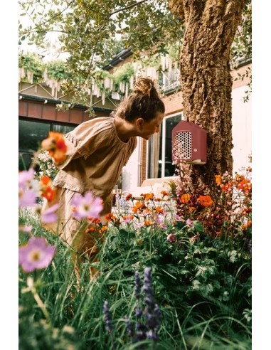 HOTEL DE INSECTOS COSY 18CM ROJO TOSCANA