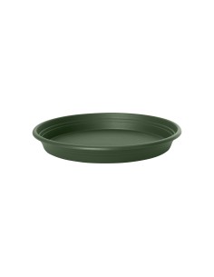 Plato Redondo Universal 22 cm Verde  Base para Macetas Medianas, Protección y Estilo 2
