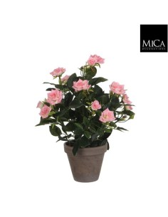 ROSAL ROSA 11.5X33CM EN MACETA 2