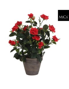 ROSAL ROJO 11.5X33CM EN MACETA 2