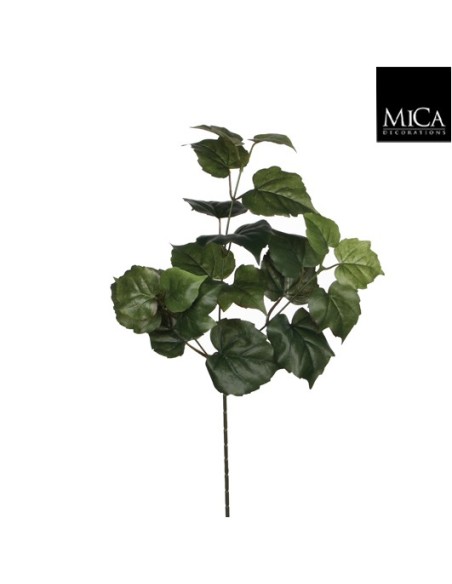 COTTON SPRAY VERDE 158CM