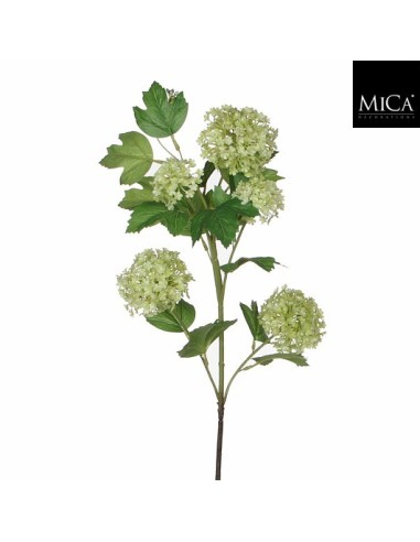 VIBURMUN VERDE I66CM