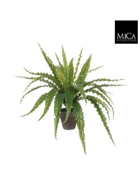 ASPLENIUM VERDE CON MACETA GRIS 54X66CM