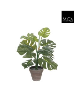 MONSTERA VRDE 49X39CM