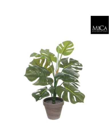 MONSTERA VRDE 49X39CM