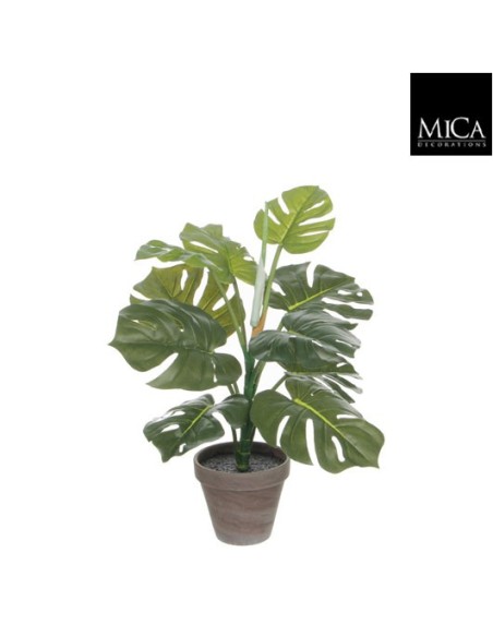 MONSTERA VRDE 49X39CM