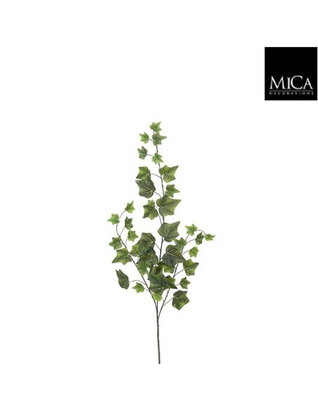 HIEDRA VERDE 63X15X4CM