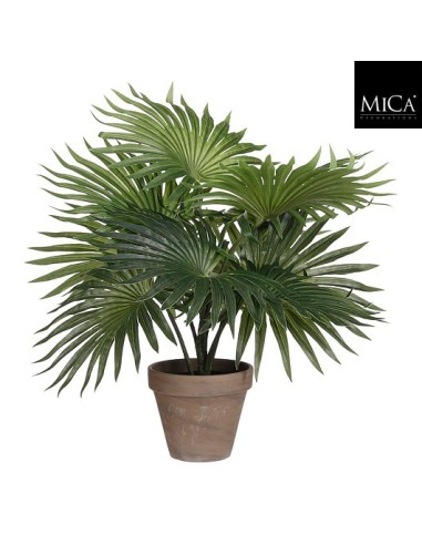 PALMERA VERDE EN MACETA D11.5 H40XD35CM