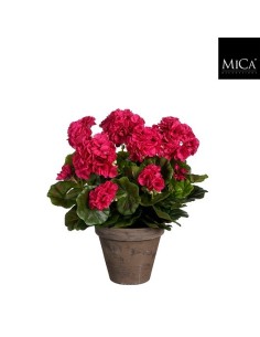 GERANIO ROSA EN MACETA D15.5 K41XD27CM