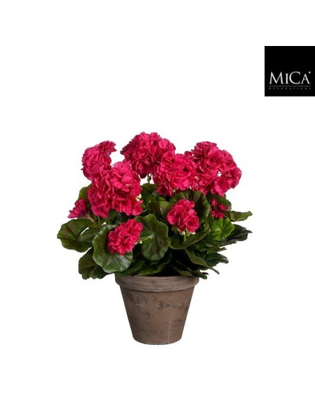 GERANIO ROSA EN MACETA D15.5 K41XD27CM