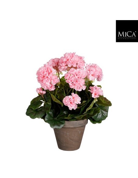 GERANIO ROSA C. EN MACETA D15.5CM H14XD27CM