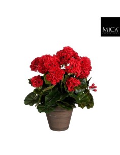 GERANIO ROJO EN MACETA D15.5 H41XD27CM