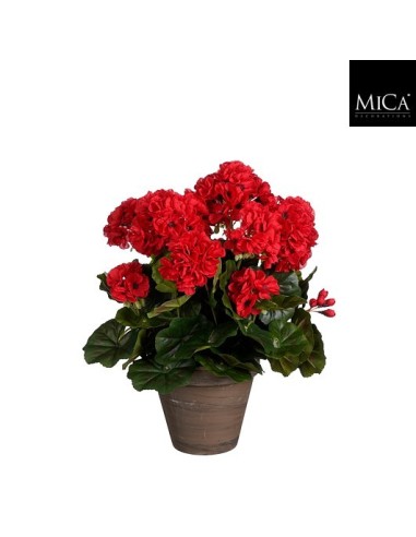 GERANIO ROJO EN MACETA D15.5 H41XD27CM