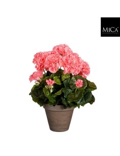 GERANIO SALMON EN MACETA D15.5CM H41XD27CM