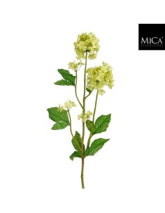 VIVURMUM VERDE I71.5CM