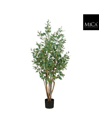 POPLAR EN MACETA H110XD60CM