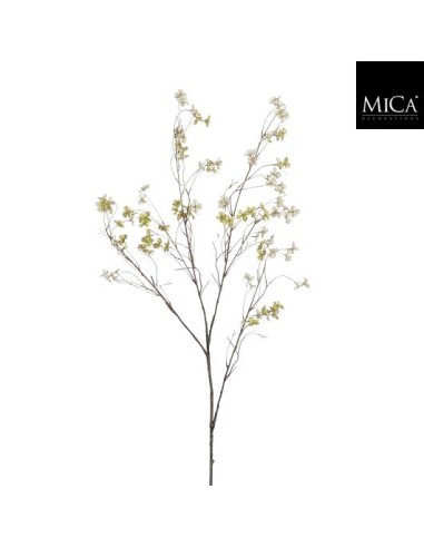 BLOSSOM RAMA VERDE I131CM