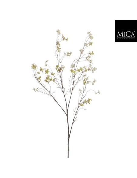 BLOSSOM RAMA VERDE I131CM