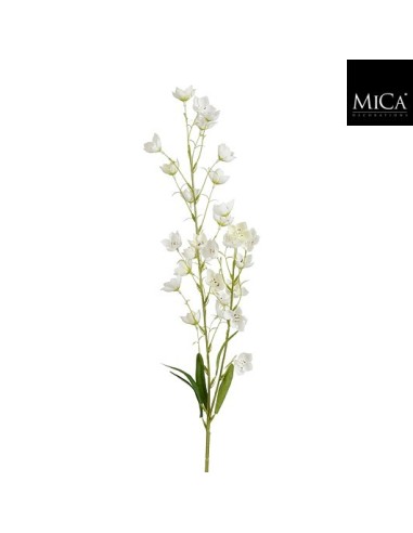 LILY OF DE VALEY CREMA I95CM