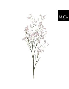 BLOSSOM RAMA ROSA I131CM