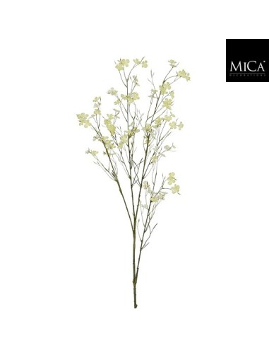 BLOSSOM RAMA VERDE I131CM