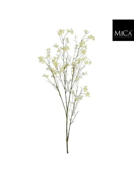 BLOSSOM RAMA VERDE I131CM