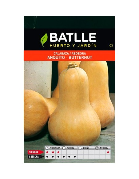SEMILLA CALABAZA ANQUITO-BUTTER BATLLE