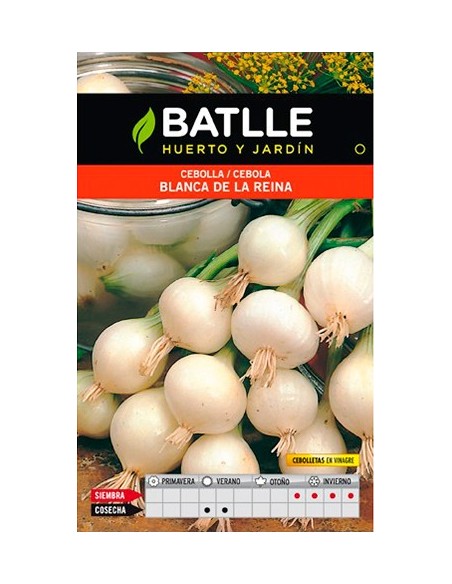 SEMILLA CEBOLLA BLANCA LA REINA BATLLE