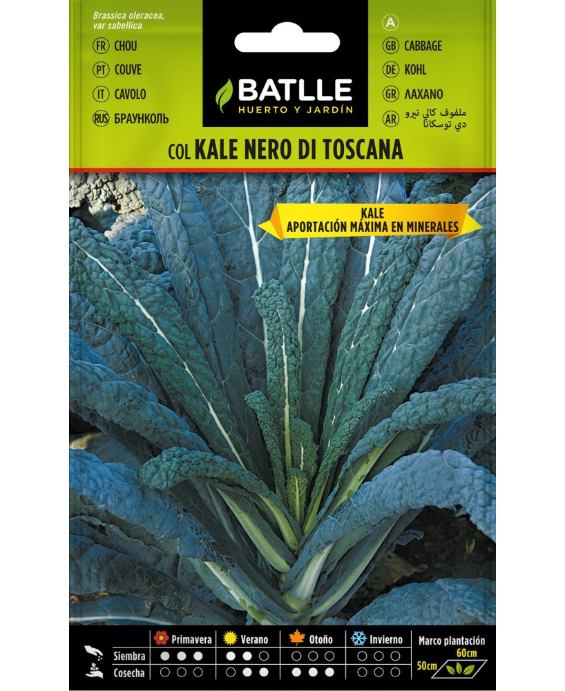 SEMILLA COL KALE NERO DI TOSCANA