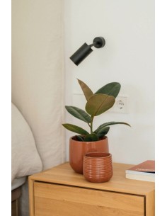 MACETA GUINEA 18X15CM TOFFE