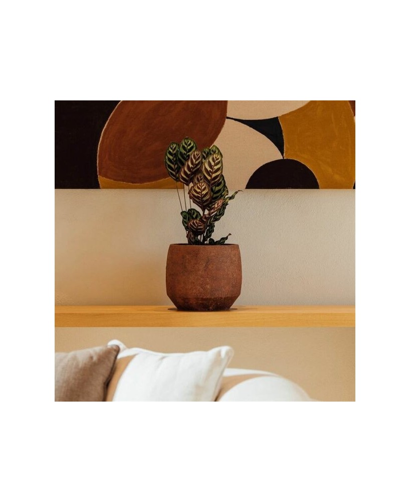 MACETA GREA 25X23CM MARRON