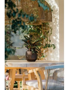 MACETA GREA 25X23CM MARRON 2