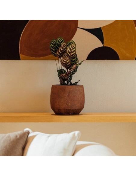 MACETA GREA 21X20CM MARRON