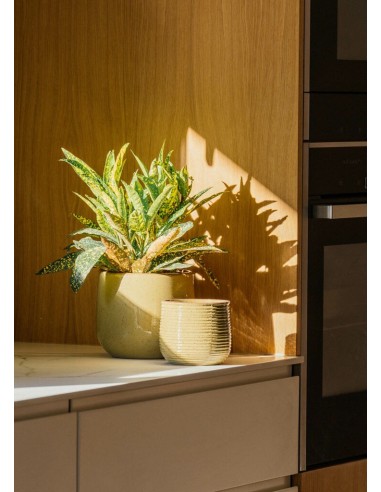 MACETA FLYI 11X10CM VRDE