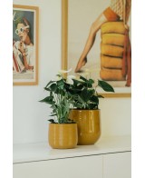 MACETA GUINEA 31X28CM OCRE