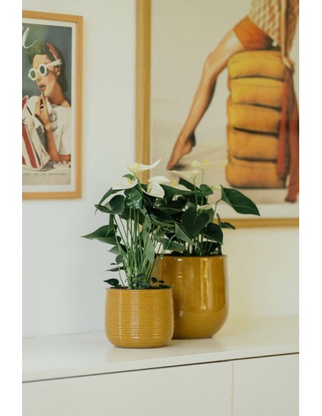 MACETA GUINEA 24X21CM OCRE