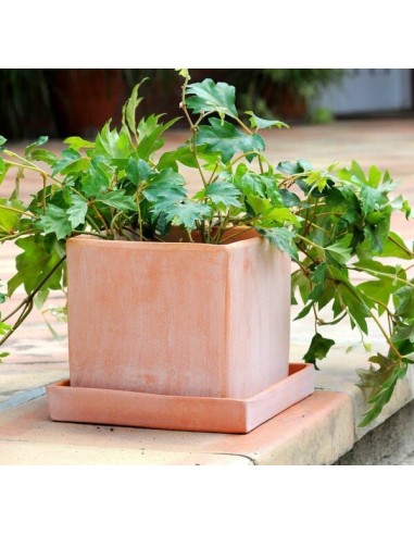 MACETA PEGUERA CON PLATO 12X12X12CM