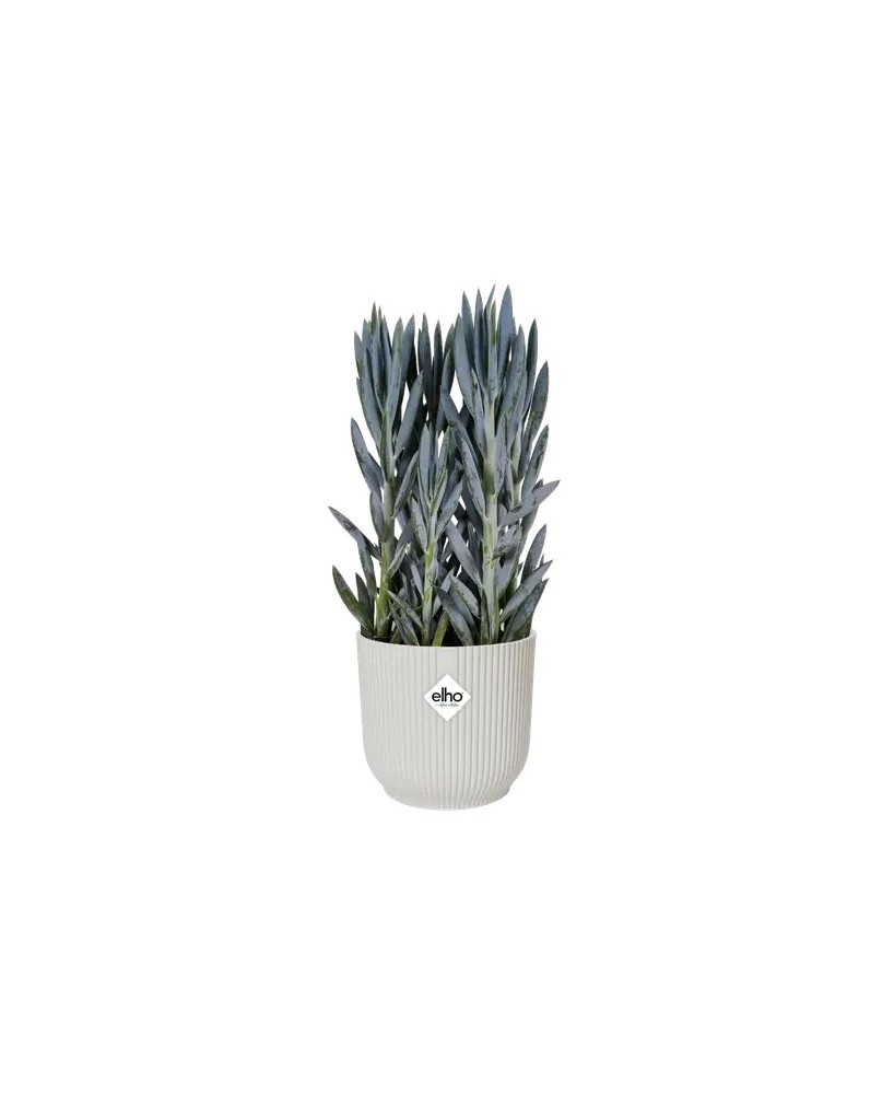 MACETA VIBES FOLD REDONDA 14CM BLANCO LINO