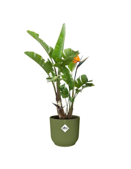 MACETA VIBES FOLD REDONDA 30CM VERDE HELECHO