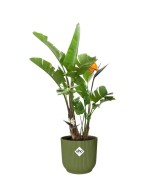 MACETA VIBES FOLD REDONDA 30CM VERDE HELECHO