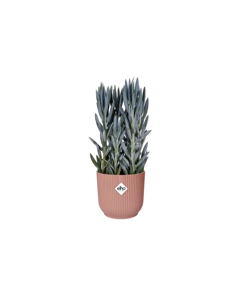 Maceta Vibes Fold Round Rosa 16 cm  Diseño Moderno y Funcional para Plantas | Endanea Garden